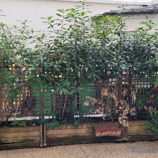  Annonces VITRY : Appartement | PARIS (75017) | 17 m2 | 150 000 &euro; 
