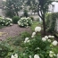  Annonces VITRY : Appartement | PARIS (75009) | 30 m2 | 425 000 &euro; 