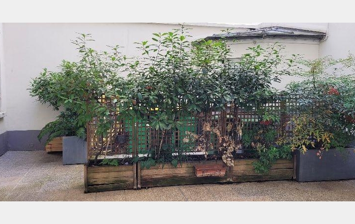 Annonces VITRY : Appartement | PARIS (75017) | 17 m2 | 150 000 &euro; 